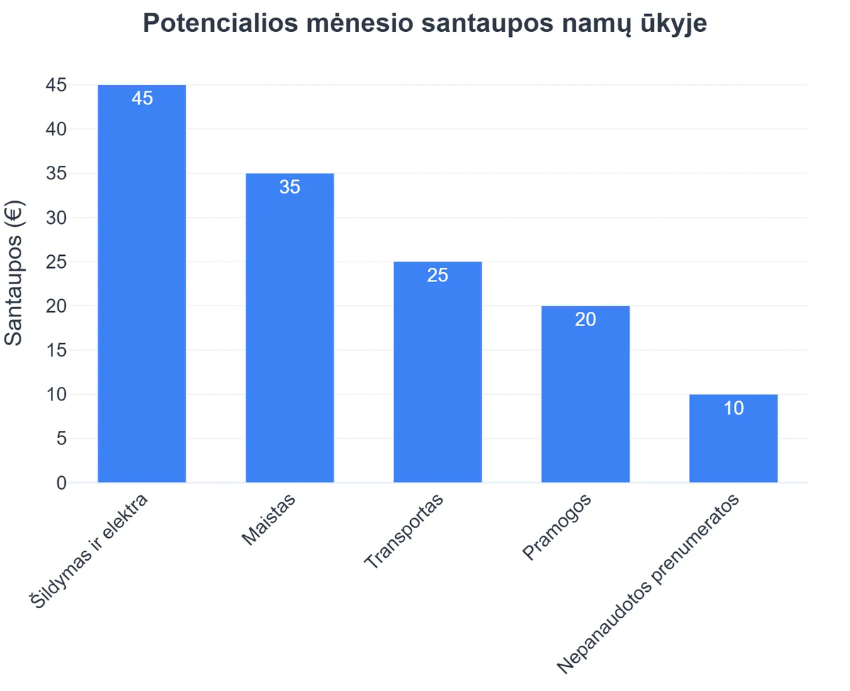Potencialios mėnesio santaupos namų ūkyje