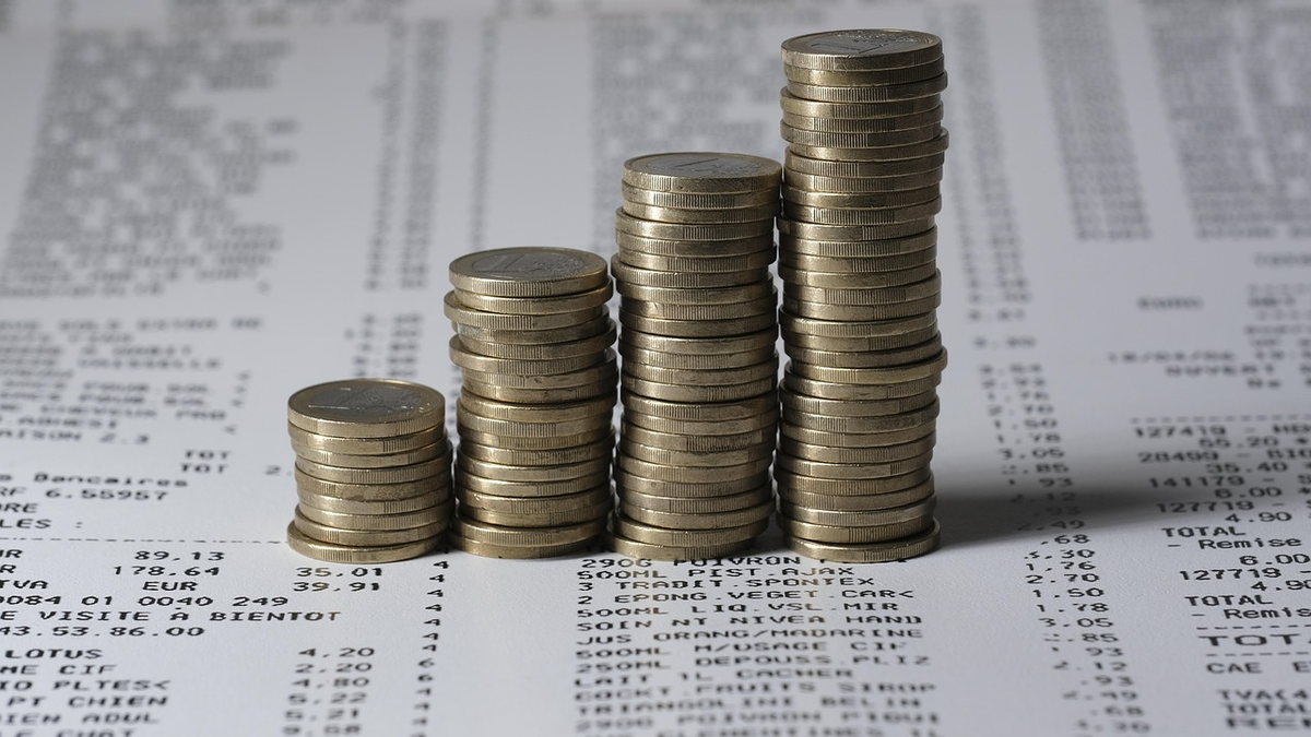 A minimalist composition featuring a sturdy base of stacked, well-worn financial ledgers and gleaming coins, from which a singular, vibrant green sapling confidently emerges, stretching its leaves towards a soft, aspirational light, embodying the foundational growth of personal finance.
