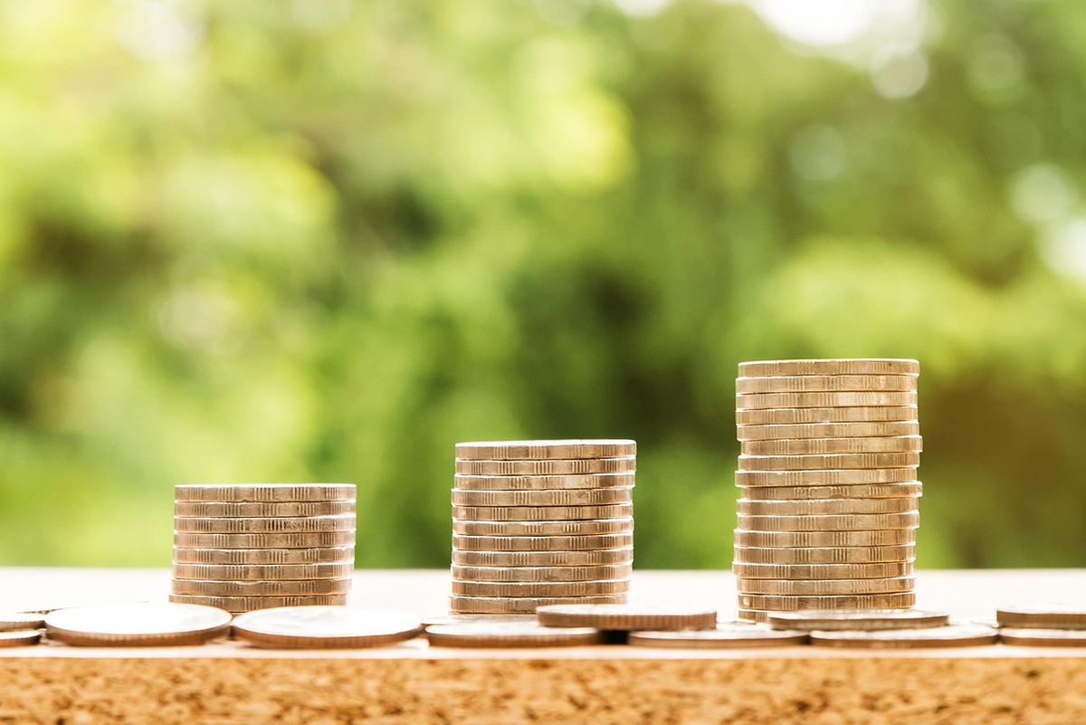 A stylized image of a single coin transforming into a thriving money tree with roots deeply embedded in fertile ground, symbolizing how initial investment grows into significant financial capital and long-term security.