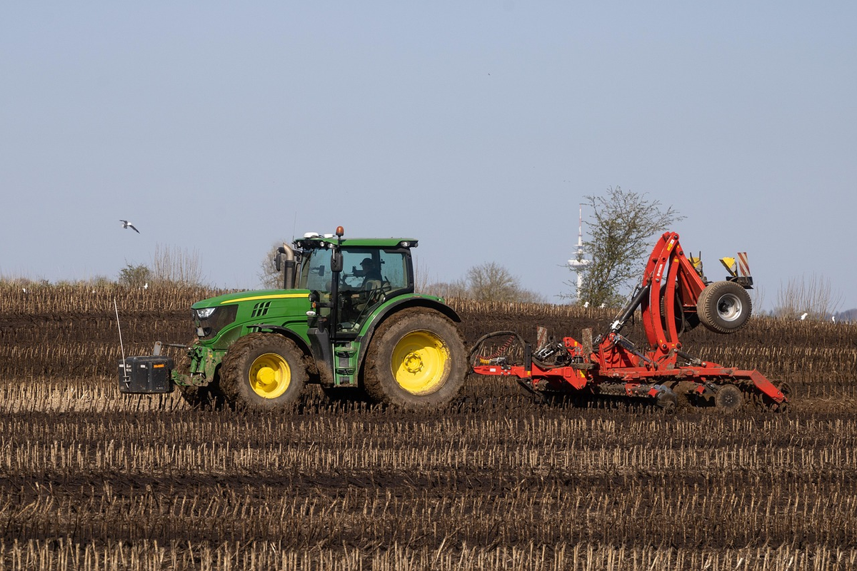 A strong, protective hand gently cups and shields a thriving field of green crops under a bright sky, symbolizing agricultural insurance safeguarding farmers' investments.