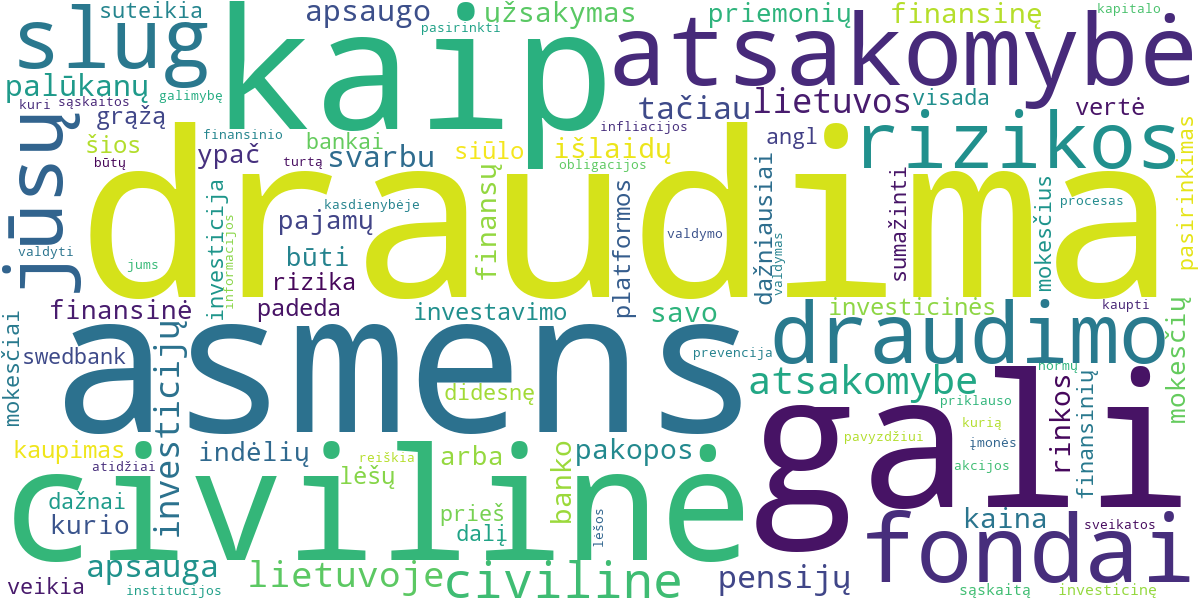 Word cloud for article: Asmens Civilinės Atsakomybės Draudimas: Apsauga Kasdienybėje