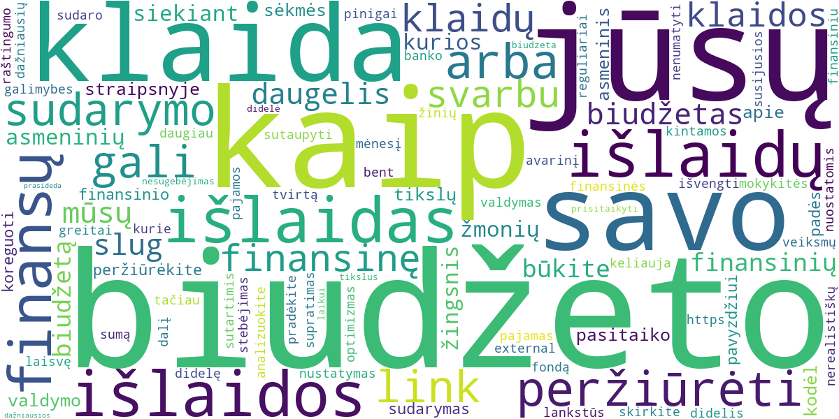 Word cloud for article: Dažniausios Biudžeto Sudarymo Klaidos ir Kaip Jų Išvengti