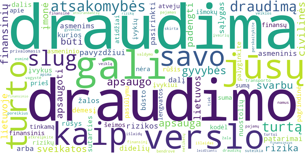 Word cloud for article: Draudimas Lietuvoje: Rūšys ir Patarimai