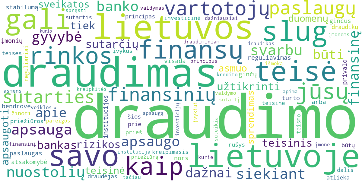 Word cloud for article: Draudimo Teisinis Reguliavimas Lietuvoje: Teisės ir Pareigos