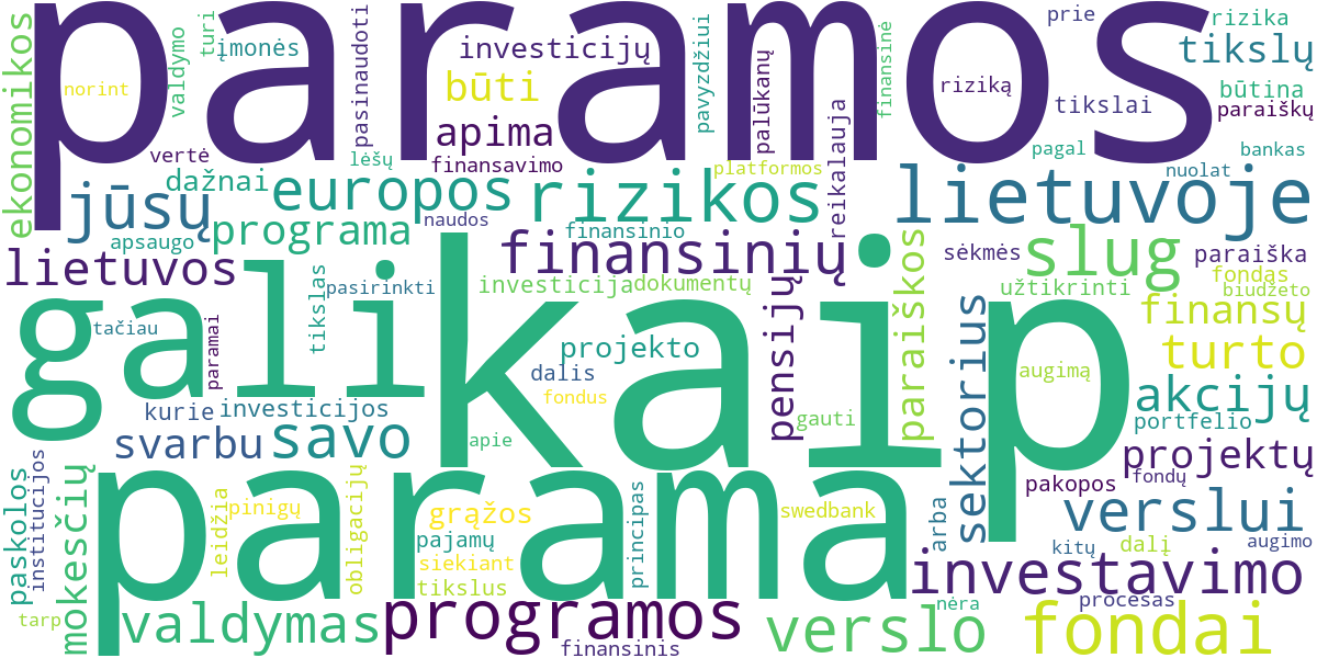 Word cloud for article: ES Parama Smulkiam ir Vidutiniam Verslui Lietuvoje: Galimybės ir Gairės