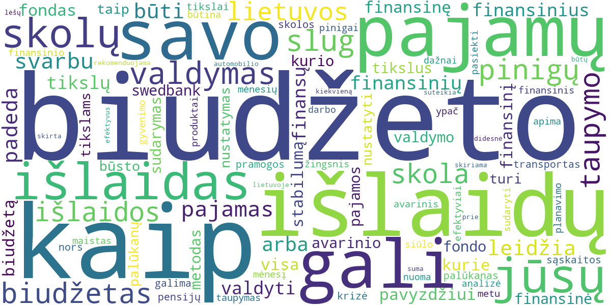 Word cloud for article: Galutinis Vadovas Biudžeto Sudarymui ir Išlaidų Kontrolei