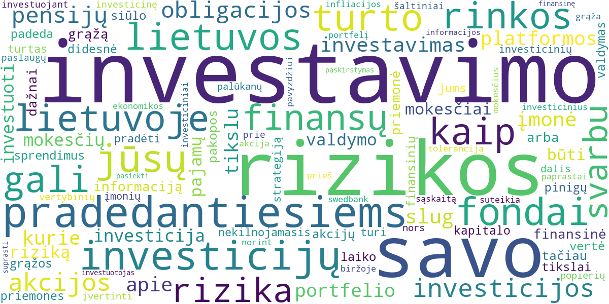 Word cloud for article: Investavimas Pradedantiesiems Lietuvoje: Kaip Auginti Turtą Protingai ir Saugiai