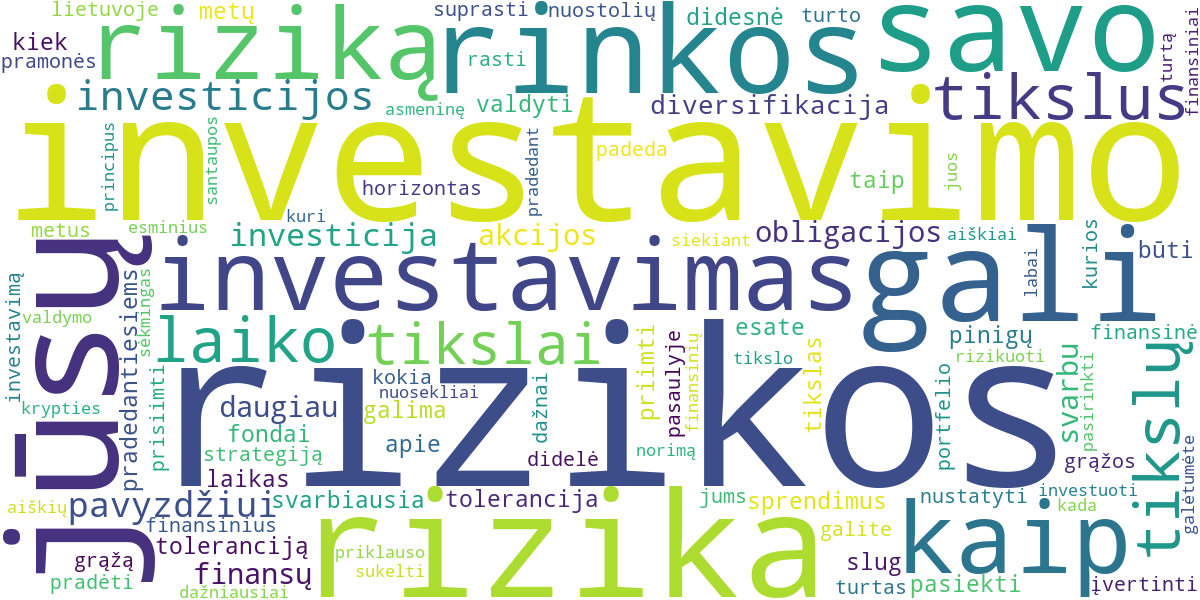 Word cloud for article: Kaip Nustatyti Investavimo Tikslus ir Įvertinti Riziką Pradedantiesiems