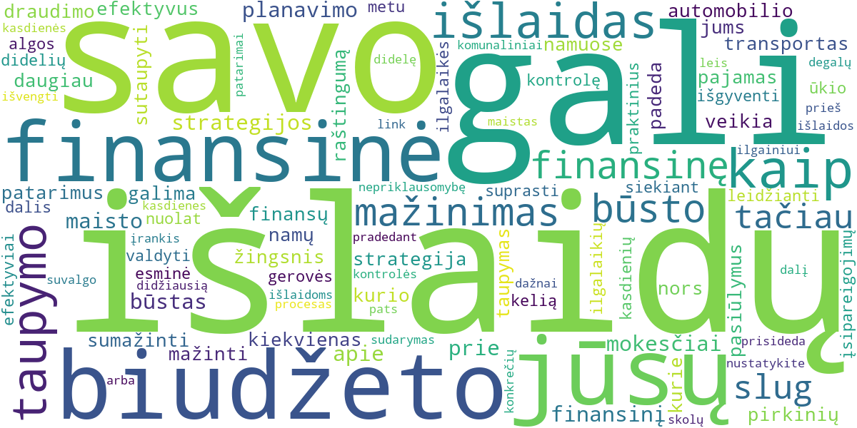 Word cloud for article: Kaip efektyviai mažinti išlaidas namų ūkyje: praktiniai patarimai ir gudrybės