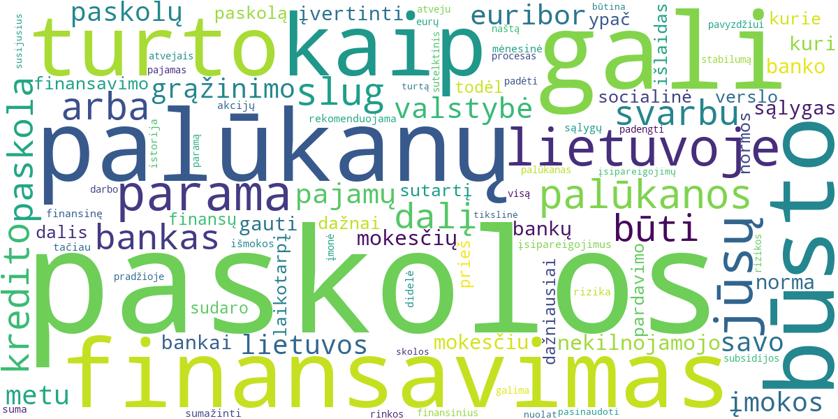 Word cloud for article: Nekilnojamojo Turto Finansavimas: Paskolos ir Subsidijos Lietuvoje