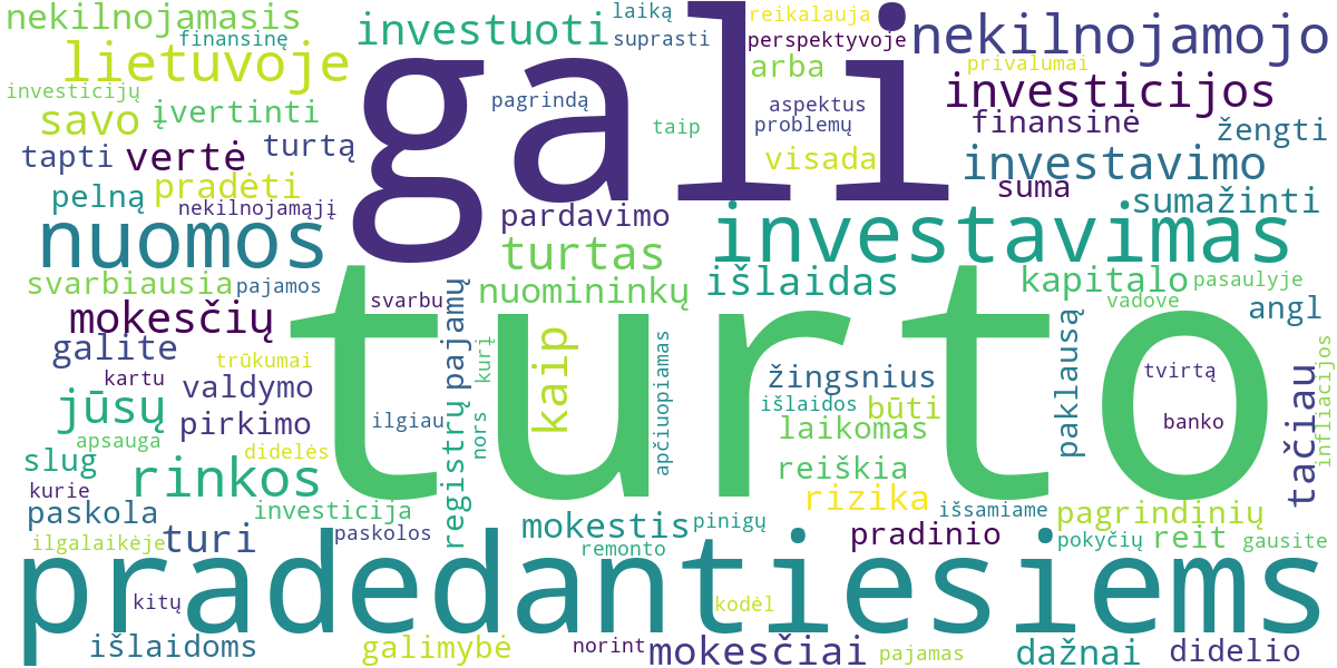Word cloud for article: Nekilnojamojo Turto Investicijos Pradedantiesiems Lietuvoje: Nuo Ko Pradėti?