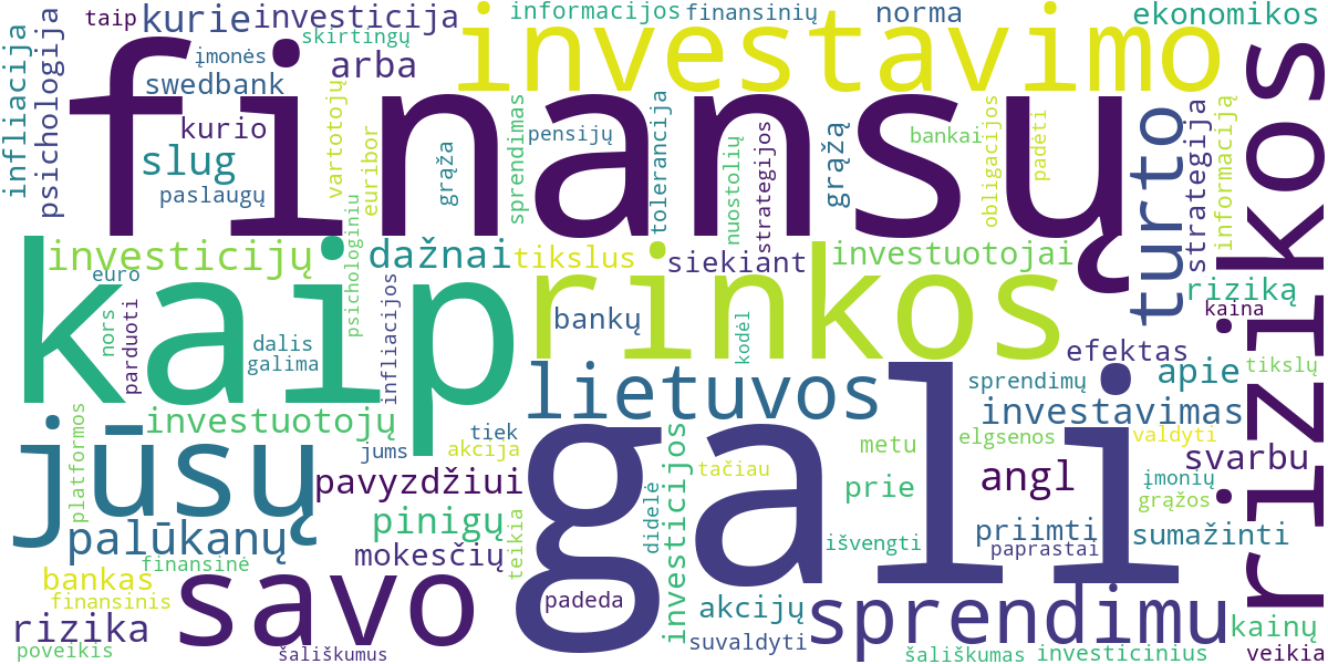 Word cloud for article: Proto Valdymas: Investicijų Psichologija ir Elgsenos Finansai