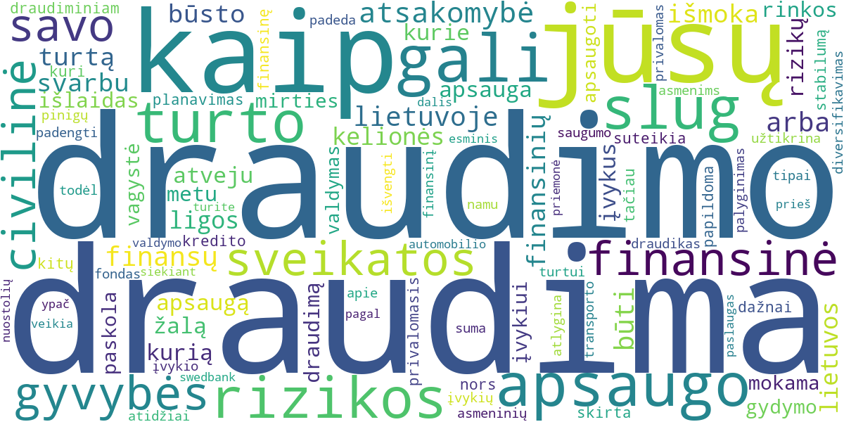 Word cloud for article: Rizikos Valdymas ir Draudimo Svarba Jūsų Finansams