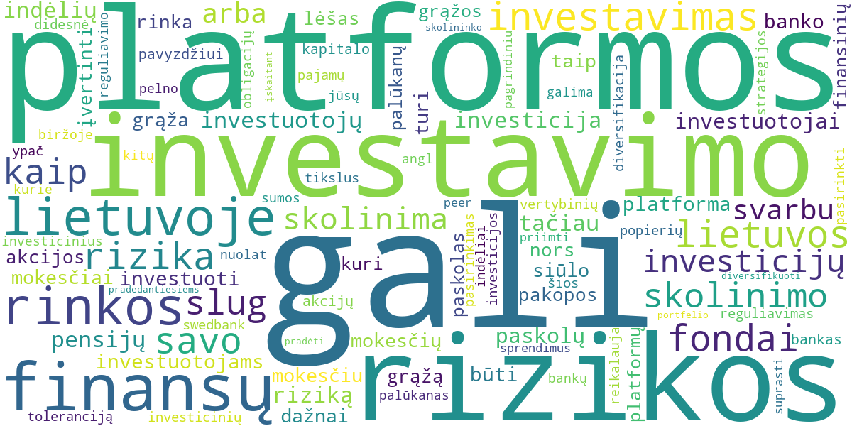 Word cloud for article: Tiksli Analizė: P2P Skolinimas ir Platformos Lietuvoje