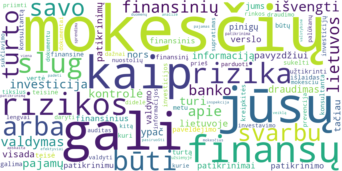 Word cloud for article: VMI Patikrinimai ir Mokesčių Kontrolė: Kaip Pasiruošti ir Ką Žinoti