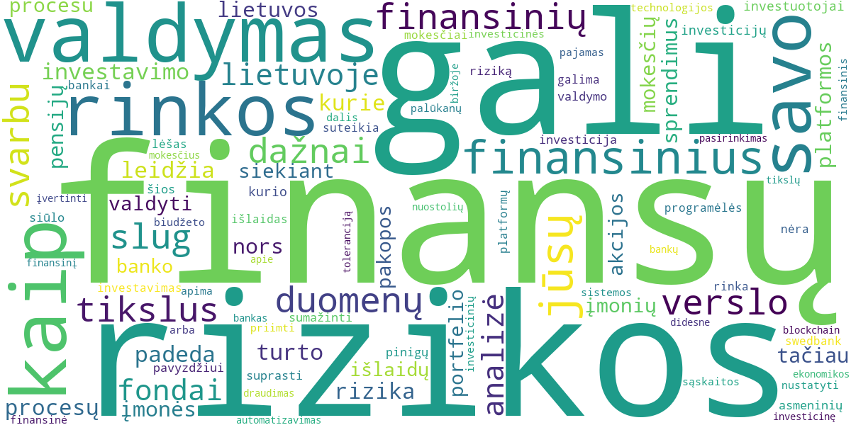 Word cloud for article: Verslo Procesų Optimizavimas ir Automatizavimas: Efektyvumo Didinimas